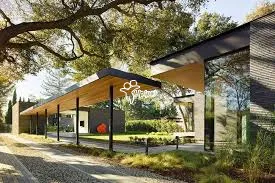 Guest Rooms with Colorful Walls and Peaceful Ambience