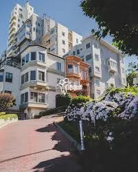  54. Spacious 3BHK Flats for Rent with Separate Dining and Living Room