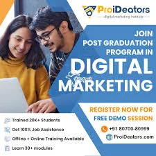 The Professional Guide to Digital Marketing with Certification