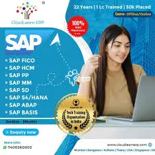 SAP ERP Business Process Monitoring and Performance Optimization