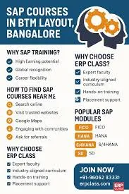 SAP ERP Financial Data Accuracy and Audit Compliance Mastery