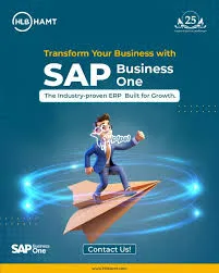 ERP SAP for Strategic Resource Allocation and Business Planning