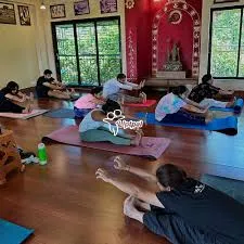 Transform Your Lifestyle with Daily Yoga and Mindfulness Practice