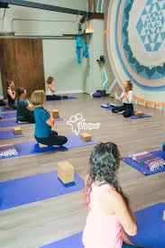 Gentle Stretch Yoga for Mobility, Balance, and Joint Health