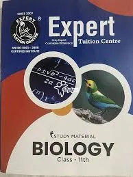 Specialized Biology Tuition for Students Preparing for Medical Entranc