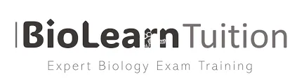 Effective Biology Tuition with Student-Friendly Techniques for Easy Le