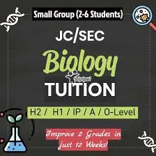 Professional Biology Tuition That Nurtures Scientific Thinking and Cur