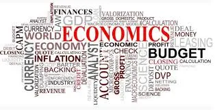 Professional Economics Tuition for Students Seeking Distinction in Fin