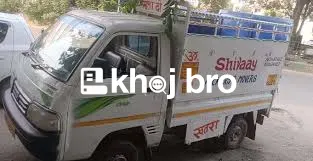 Affordable Transport Trucks Made for Daily Use and Heavy Loads