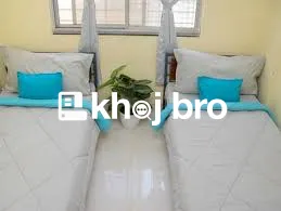 Shared Rooms for Rent with Comfortable Beds and Student-Friendly Setup