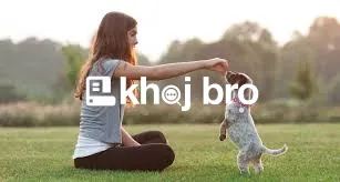   Learn Dog Training Like a Pro With These Fun, Effective, and Simple 