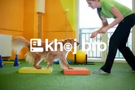   Understanding Dog Psychology to Unlock Faster and More Effective Tra