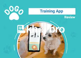   Crate Training Methods That Keep Dogs Happy, Relaxed, and Comfortabl