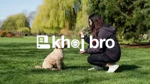   Transform Stubborn Dogs With Effective Obedience Training Anyone Can