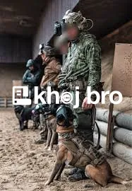   Dog Training That Helps Families Enjoy Peaceful Homes With Happy Pet