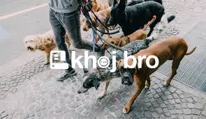   Create a Happy Home Environment With Polite and Well-Trained Family 