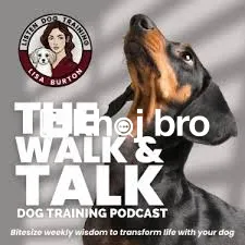   Simple Obedience Training Programs That Make Dogs Easy to Manage at 