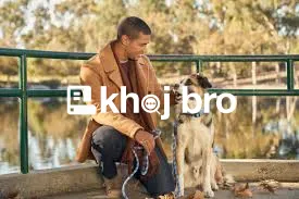   Training Routines Every Dog Owner Can Use to Build Loyalty and Respe