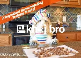   The Best Puppy Training Roadmap for Happy, Confident, and Discipline