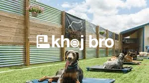   Training Dogs to Follow House Rules Without Fighting, Stress, or Con