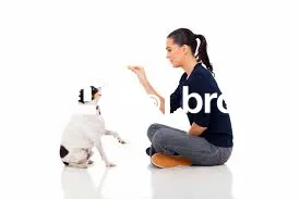   How to Build Self-Control in Puppies Using Gentle and Daily Training