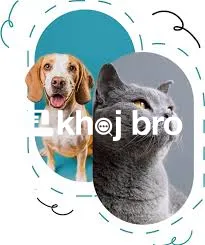   Social Training Techniques to Teach Puppies Friendly Behavior in Any