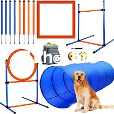   The Most Important Training Lessons Every Puppy Owner Should Start W