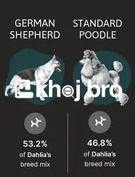   Puppy Training Plans That Help Create Disciplined Pets in Just a Few