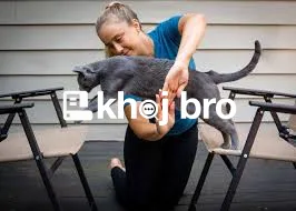   Effective Cat Training Methods to Improve Behavior and Build Obedien