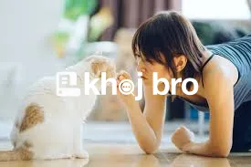   Techniques to Train Cats to Play Nicely Without Claws or Aggression