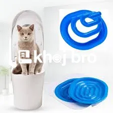   Easy Home Training Programs Every Cat Owner Can Start Using Right Aw