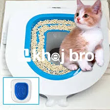   Cat Training to Improve Playtime Routines Without Aggression or Biti