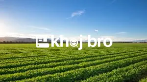 Prime Agricultural Land for Rent with Fertile Soil and Easy Water Acce