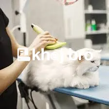   Cat Grooming with Comfort, Safety, and Affordability Guaranteed
