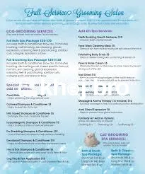   Grooming Specialists Offering Stress-Free Cat Bathing and Nail Care