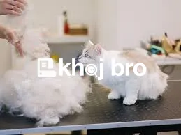  Grooming Packages That Deliver Cleanliness, Hygiene, and Styled Comf