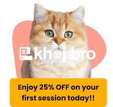   Grooming Solutions That Fit Every Cat Breed With Hygiene and Styling