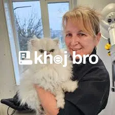   Cat Grooming That Keeps Furry Friends Fresh, Comfortable, and Stylis