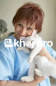   Groomers That Specialize in Pampered Bathing and Stress-Free Groomin