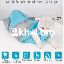   Affordable Grooming That Ensures Stylish Cats Stay Comfortable Daily