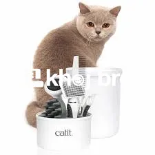   Groomers Who Offer Stress-Free Grooming With Specialized Pet Care Pl