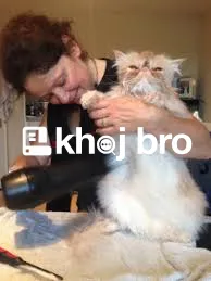   Grooming Programs Designed to Manage Cats’ Hygiene and Daily Clean L