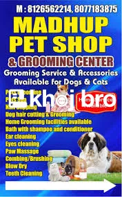   Pamper Your Pet with Expert Dog Grooming That Includes Styling and H