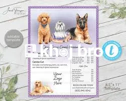   Trained Dog Groomers Offering Full Grooming Sessions for Small and B