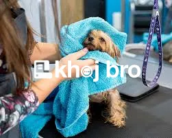   Dog Grooming for Active Pets Using Quick, Reliable, and Gentle Washi