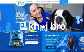   Dog Grooming With Gentle Brushing for Breathable Coats and Fresh Pet