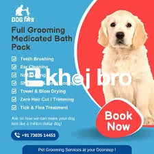   Grooming Experts Who Provide Affordable Rates Without Compromising P