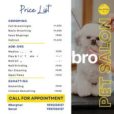   Tailor-Made Grooming Plans for Specific Dog Breeds Ensuring Perfect 