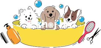   Groom Your Dog Safely at Home With Our Professional Mobile Grooming 