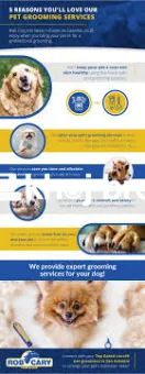   Affordable Grooming Subscriptions That Keep Dogs Fresh and Clean Eve